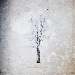 俄罗斯凸轮女厕所
