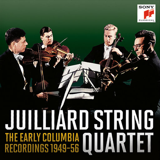 俄罗斯凸轮女厕所
